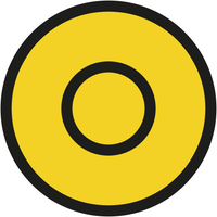 Member of the Doughniut Economics Action Lab